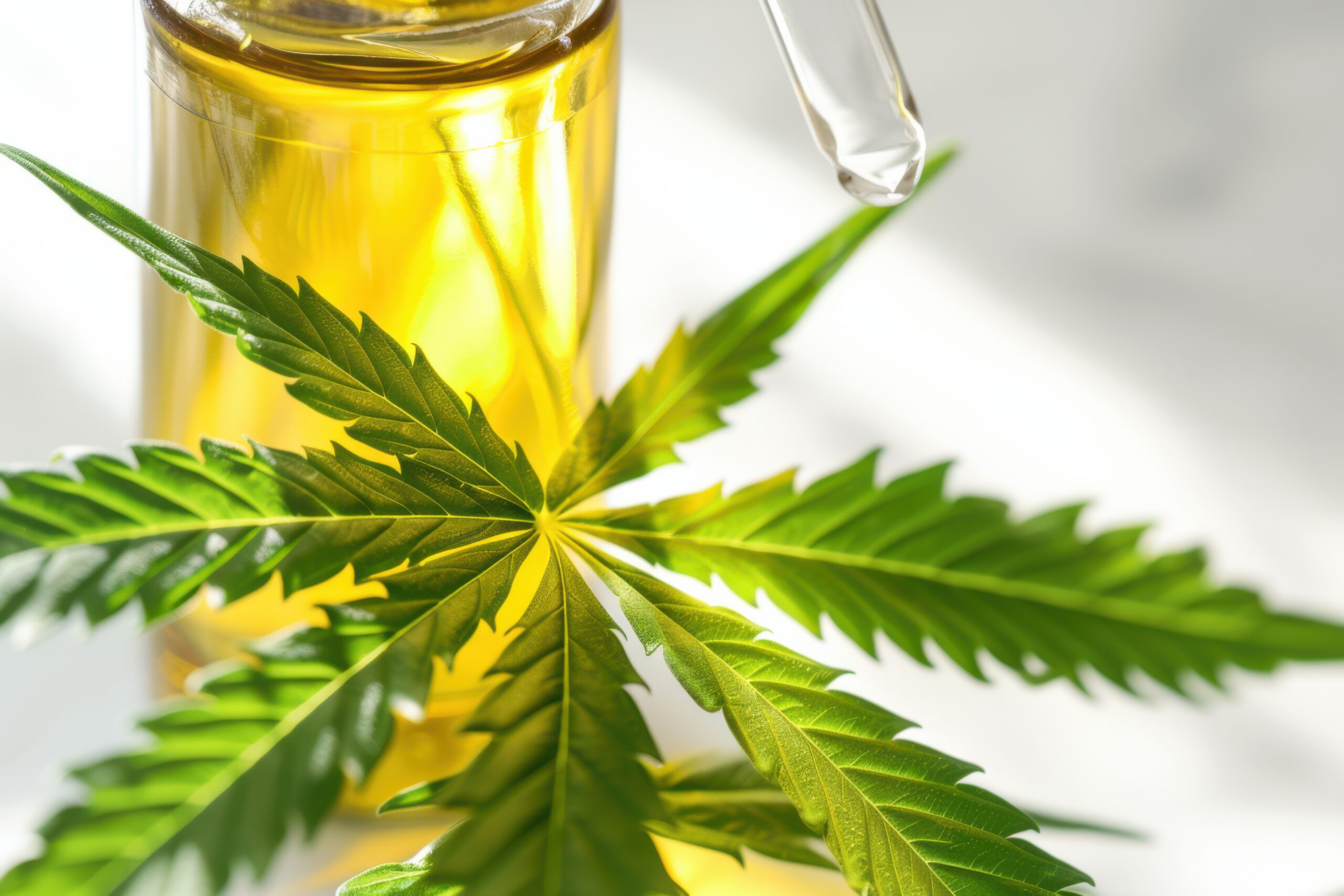 cbd oil кбд олія - порадник